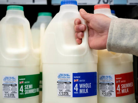 Dairy