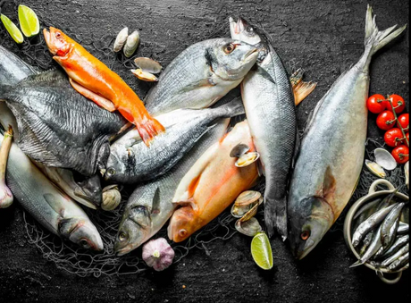 Fresh Fish