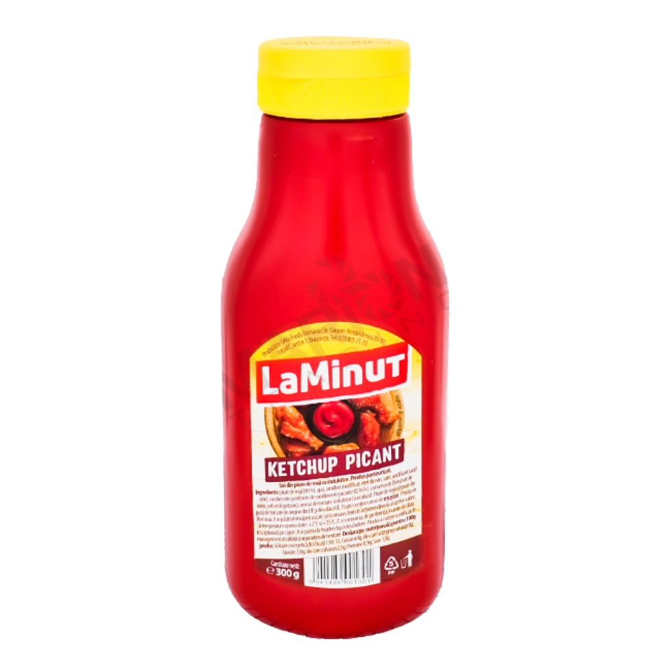 LA MINUT KETCHUP DULCE 480GR
