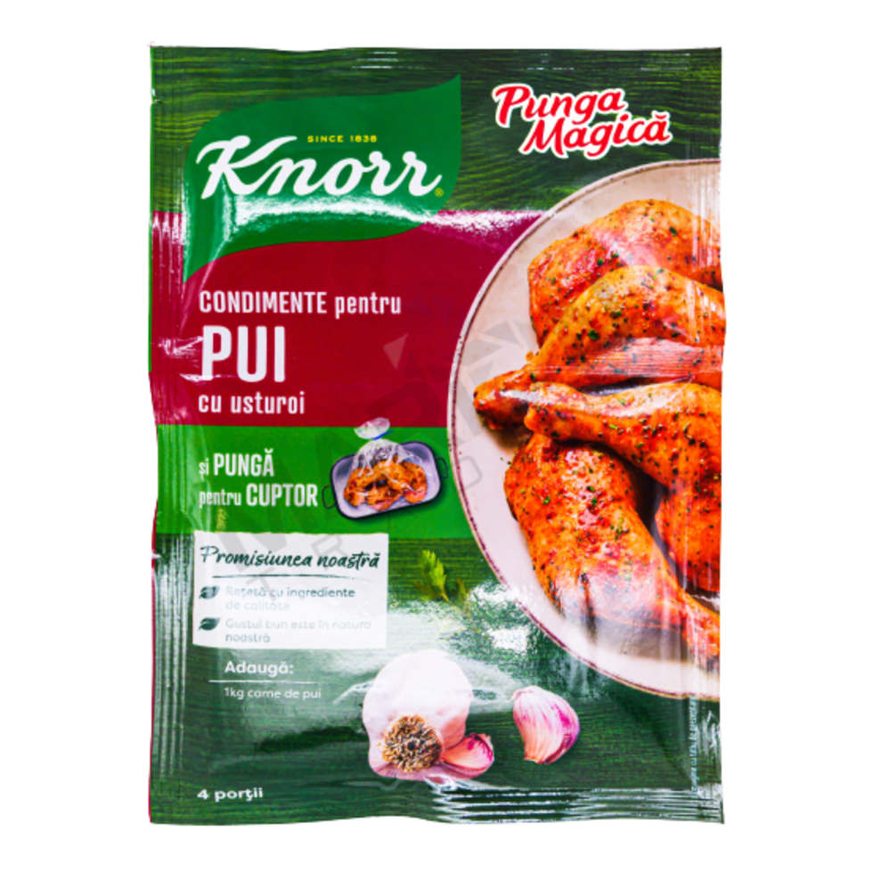 KNORR PUNGA MAGICA PUI USTUROI 28GR