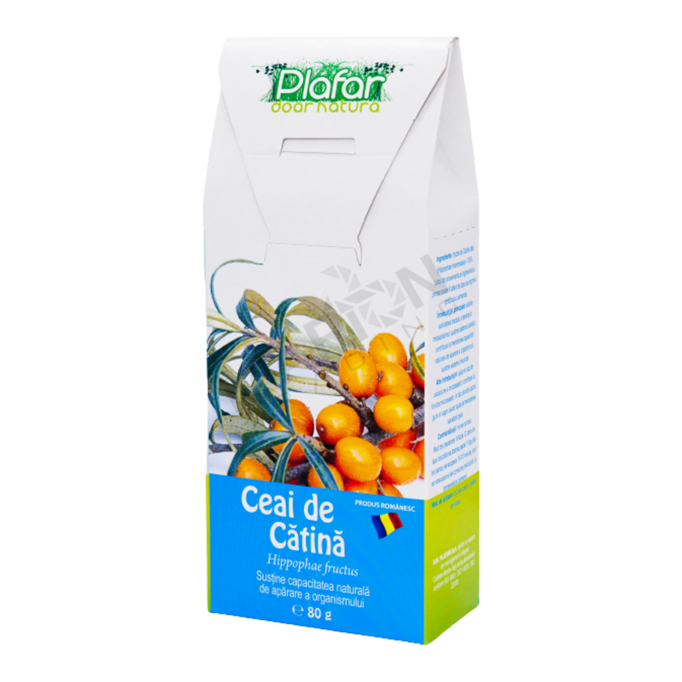 PLAFAR CEAI CATINA