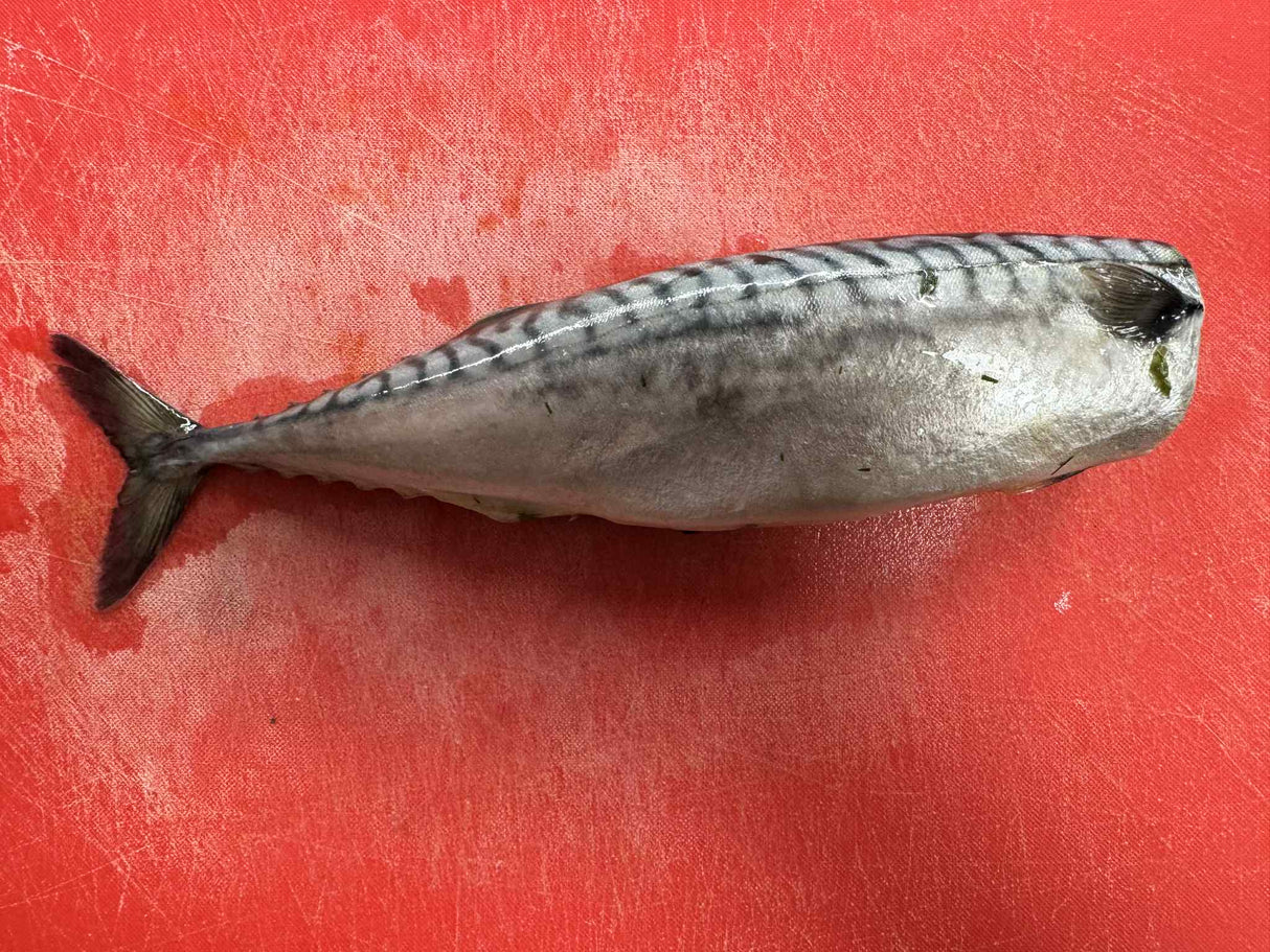 MACROU MARINAT per KG
