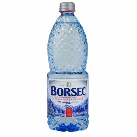 BORSEC APA PLATA 0.5L