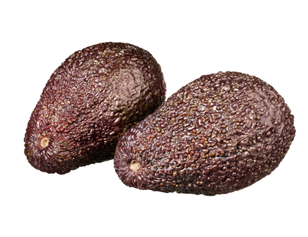 Avocado