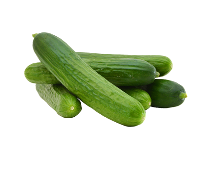 Cucumber