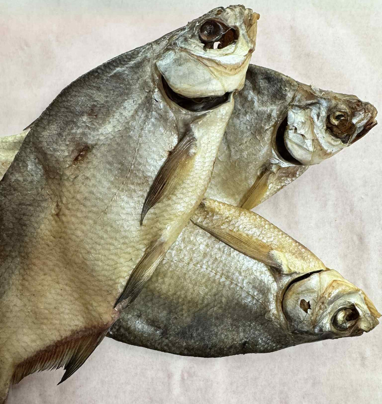 TARANCA PLATICA ZVANTATA per 500g