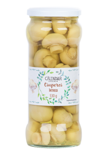 CALINDAR CIUPERCI TAIATE